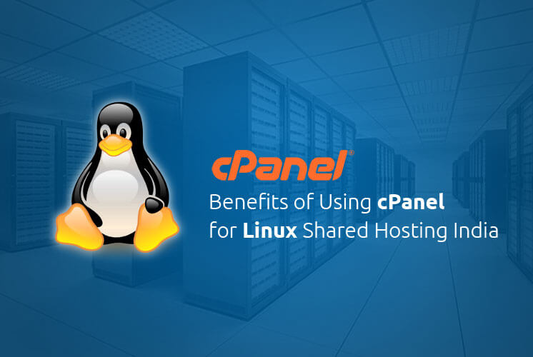 Linux Shared Hosting 