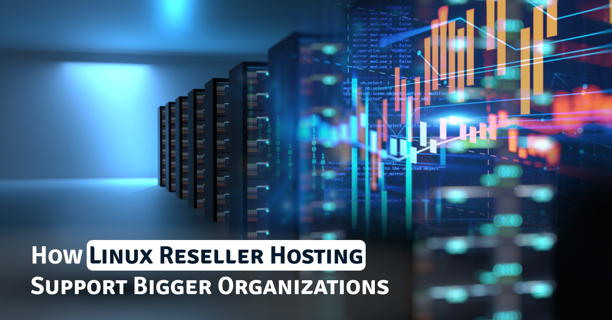 How Linux Reseller Hosting Supports Bigger Organisations